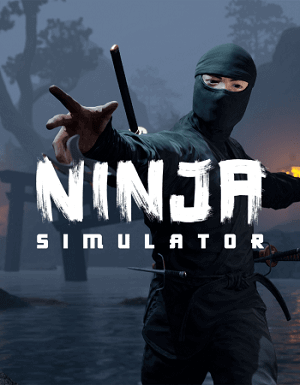 Ninja Simulator постер